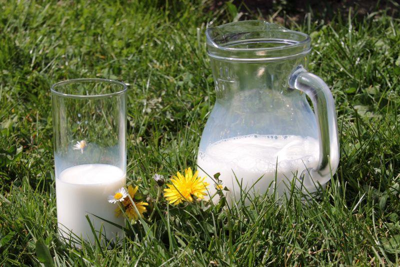 草地上的牛奶壶和玻璃杯
