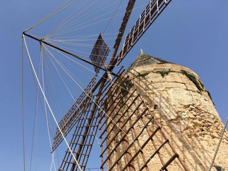 西西里岛的老风车磨坊