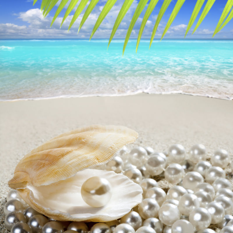 沙海滩上的蚌壳里的很多珍珠