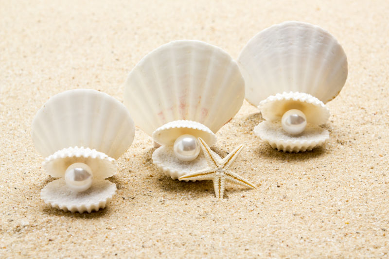 海滩上三个贝壳上里的珍珠