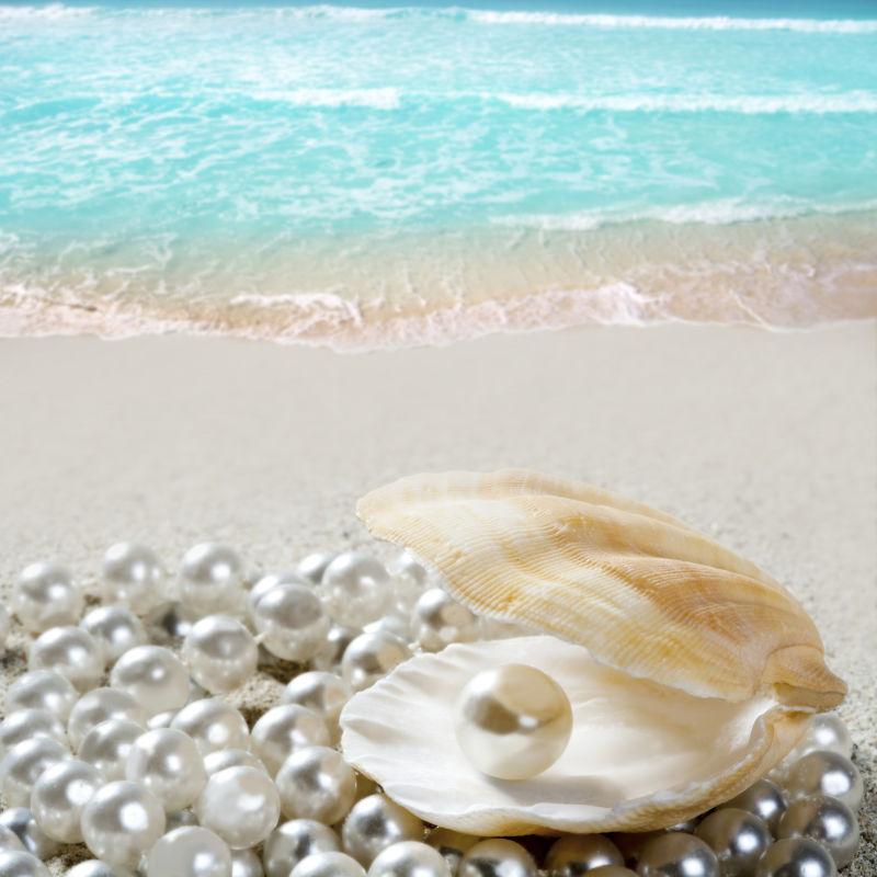 在沙滩上海蛤壳和很多明珠