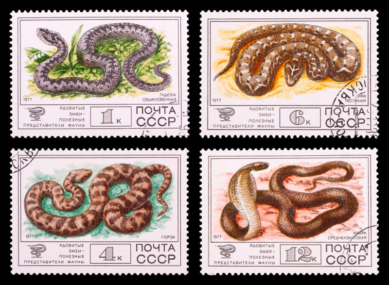 蛇套系邮票