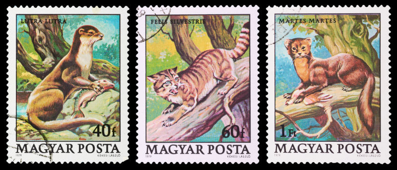 一套显示野生动物的邮票