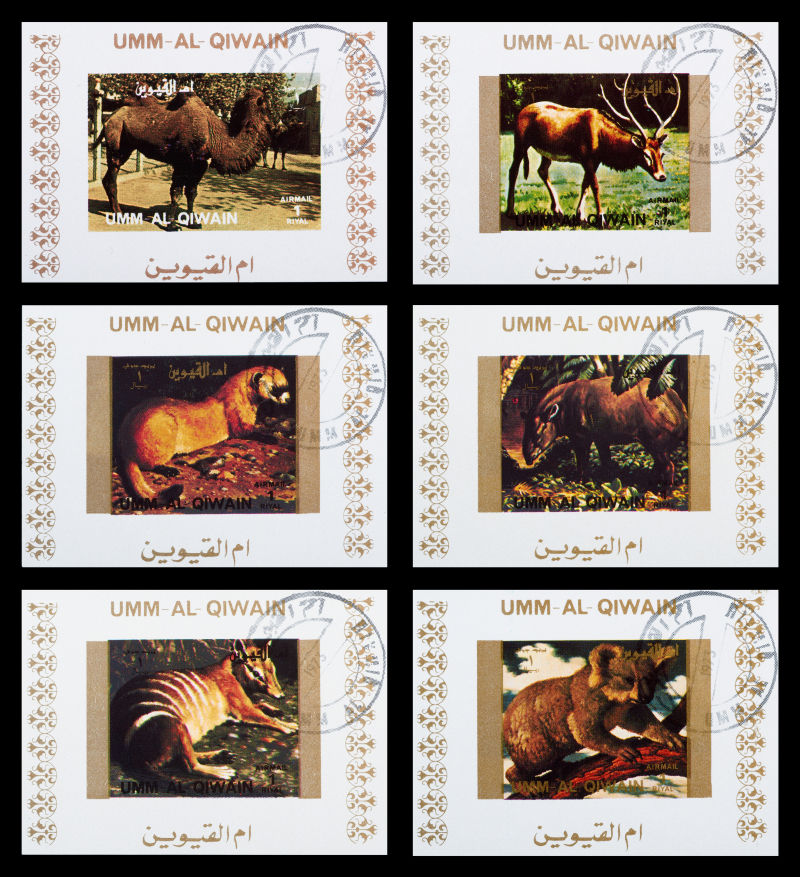 一套野生动物系列邮票