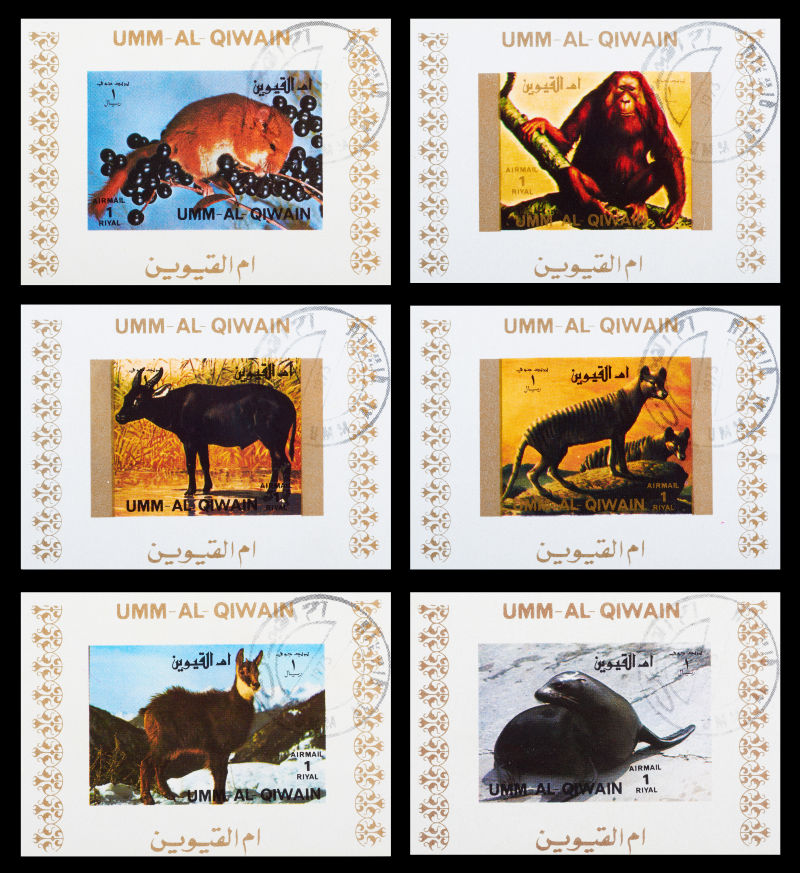 一套野生动物邮票