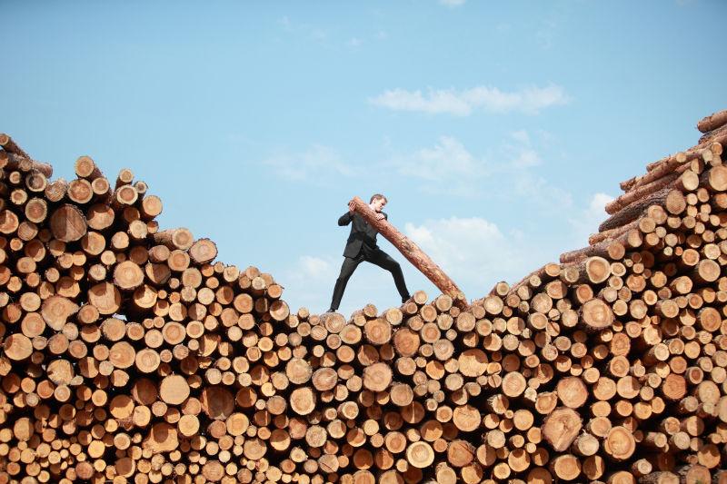 商人在木材堆上立起一根木头