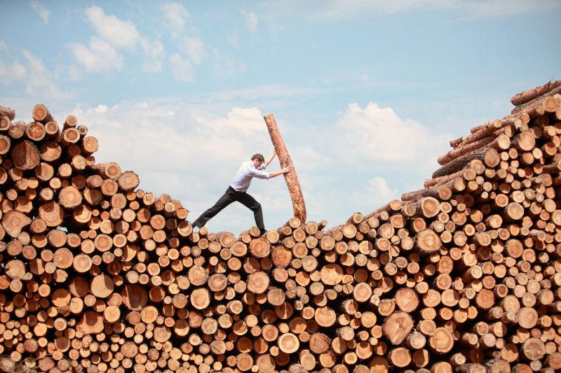 商人在木材堆上竖起一根木头