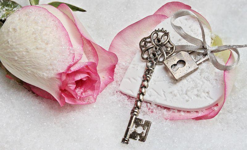 美丽的玫瑰边有一个打着粉色丝带的爱情锁
