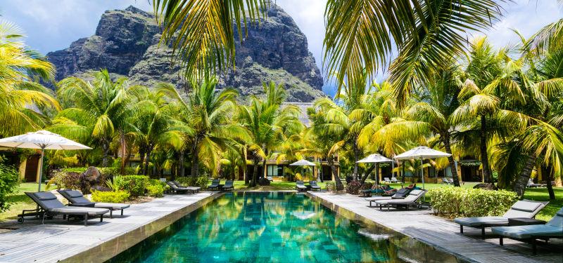 椰子树下的休息区与游泳池