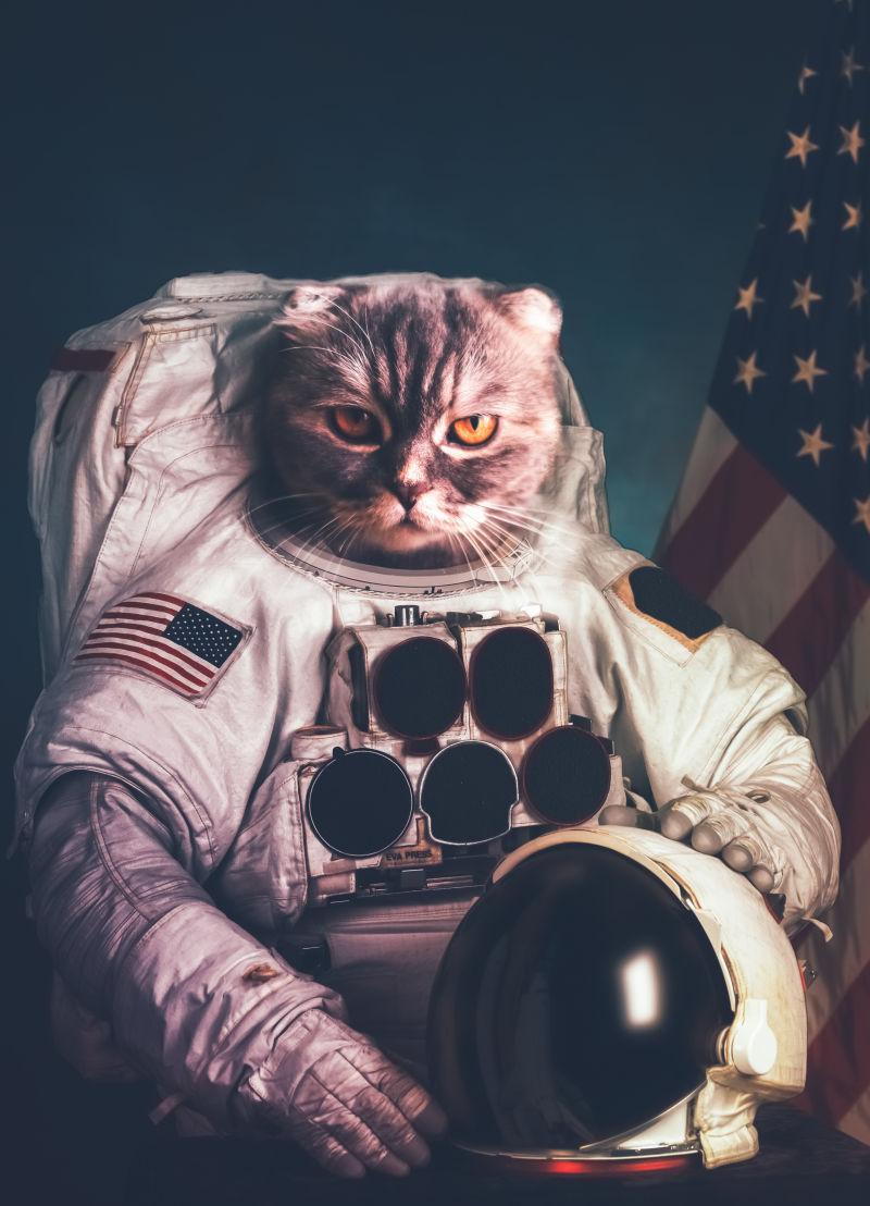 美丽的猫宇航员