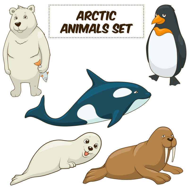 创意矢量卡通北极动物