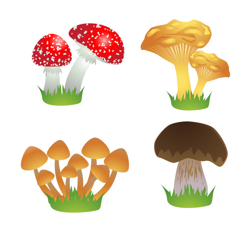 矢量的彩色蘑菇插图