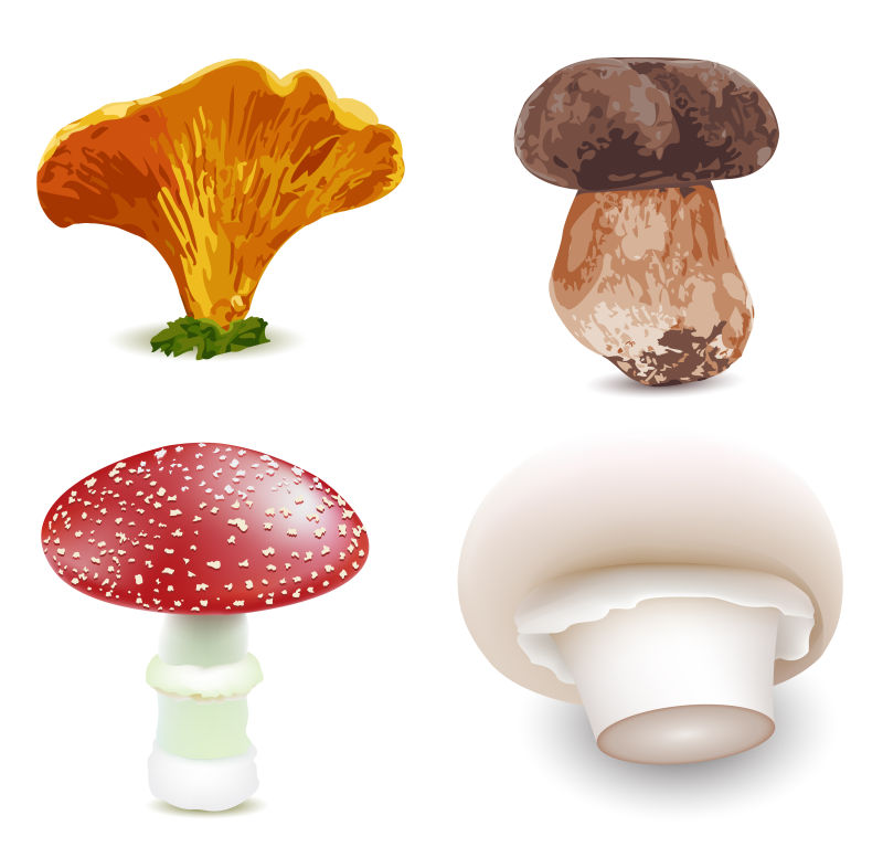 矢量的三维蘑菇