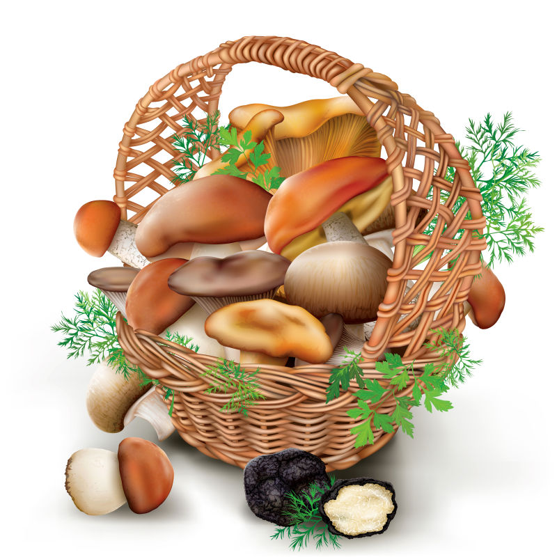 柳条筐中的新鲜蘑菇插图