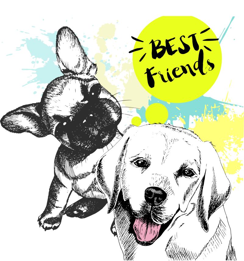 拉拉多猎犬和法国斗牛犬的友谊矢量插图设计