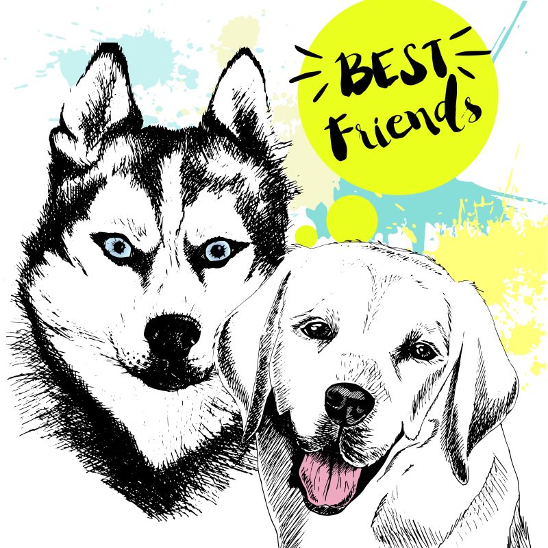 手绘风格的拉布拉多猎犬和哈士奇矢量插图