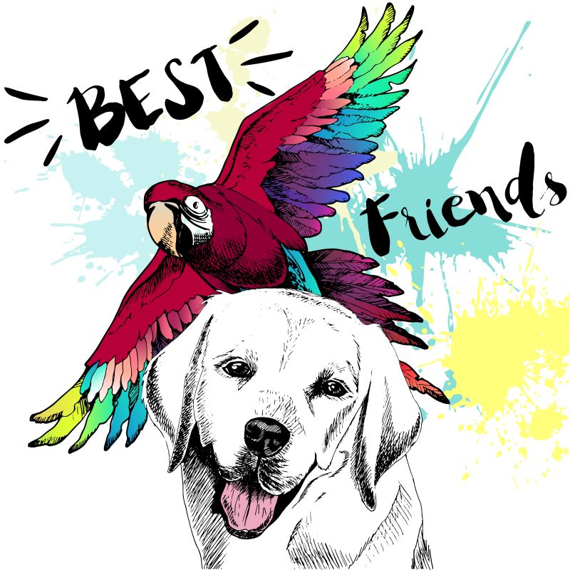 拉布拉多猎犬和金刚鹦鹉的友谊矢量插图