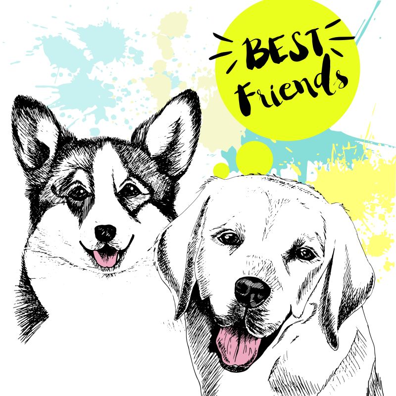 宠物狗之间的友谊矢量插图