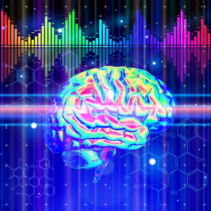 矢量的彩色数字技术的人类大脑