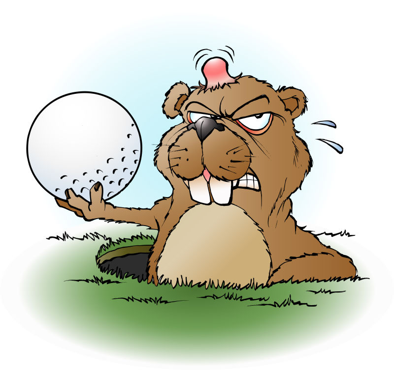 矢量卡通被高尔夫球打中的土拨鼠插图