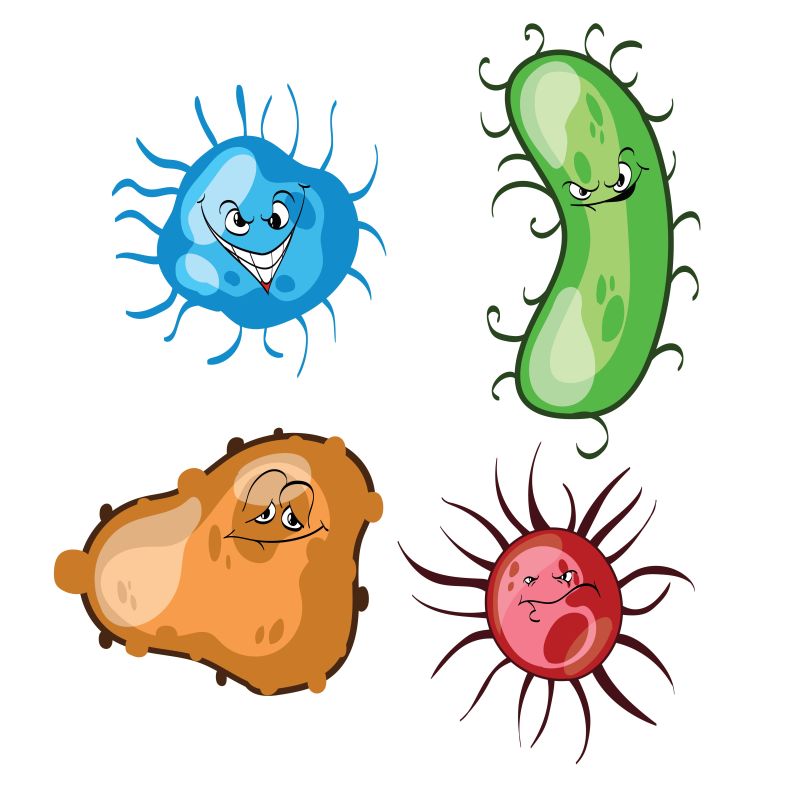 矢量创意卡通病毒细菌插图