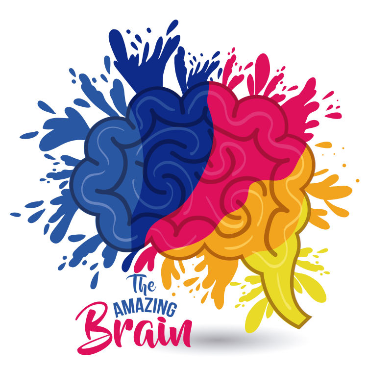 彩色的人类大脑矢量插图