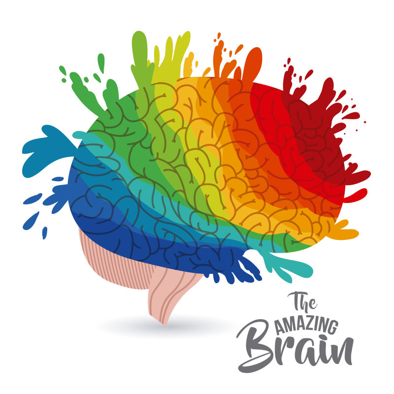 彩色的大脑矢量插图