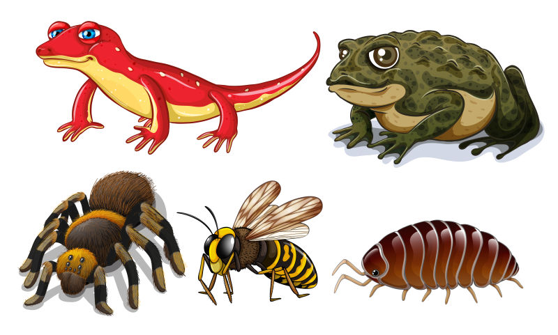 创意矢量卡通不同种类的昆虫