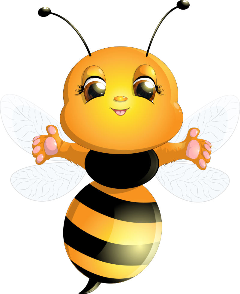 矢量可爱的白色背景上的蜜蜂