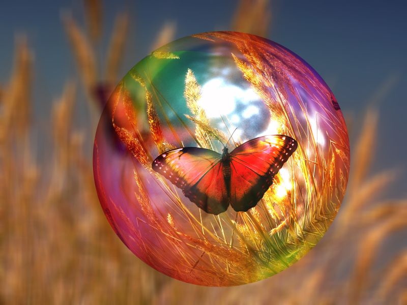 彩色泡泡中好看的蝴蝶