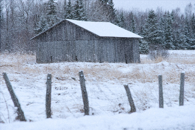 雪景下的木屋