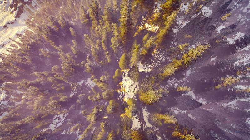 北美森林鸟瞰图在秋季3D渲染