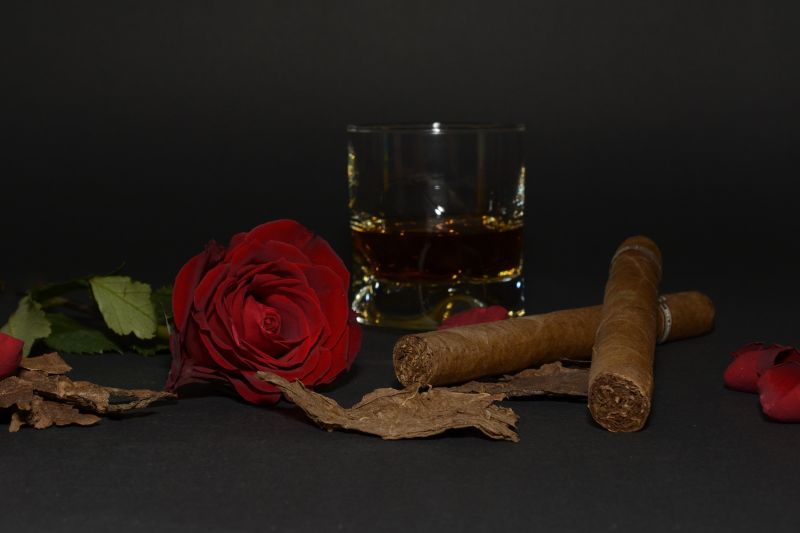 黑色背景中的红玫瑰酒杯和雪茄