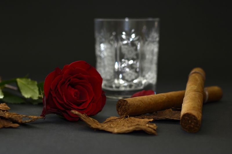黑色背景中的红玫瑰玻璃杯和雪茄
