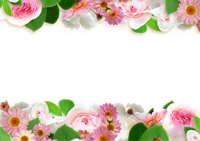 粉红色花卉框架