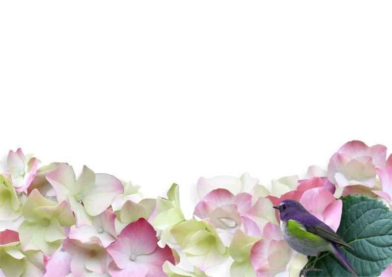粉白色花卉框架背景