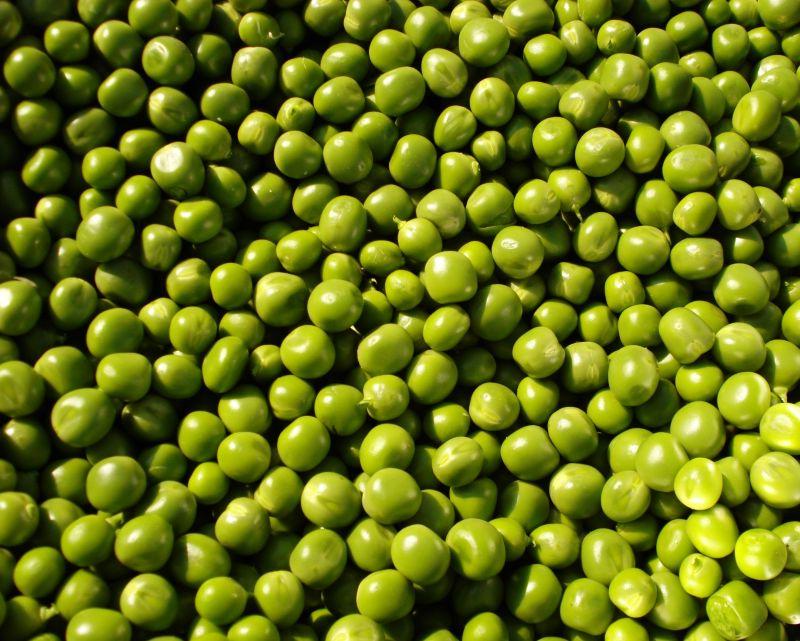 绿色的豌豆粒