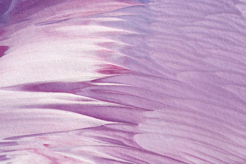紫色粉色抽象纹理背景