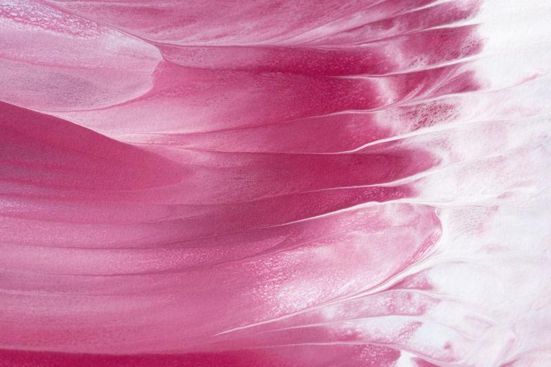 Pink Feathers iPhone Background