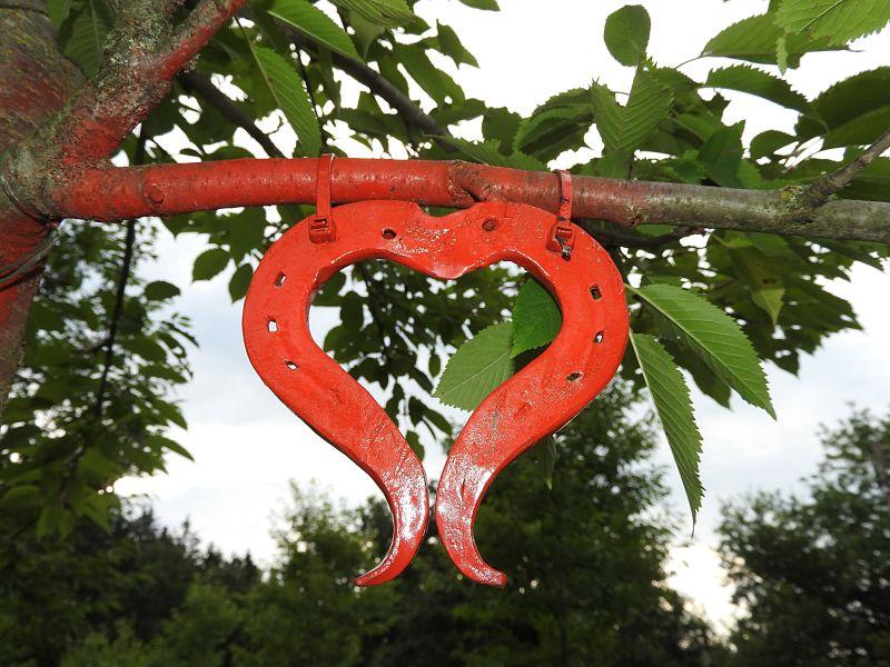 挂在树枝上的红色心形金属蹄铁