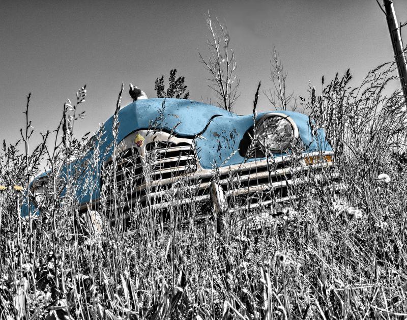 草丛中的蓝色复古汽车