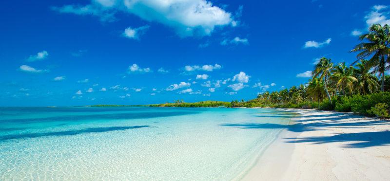 蓝天白云背景下热带种满棕榈树的白色沙滩