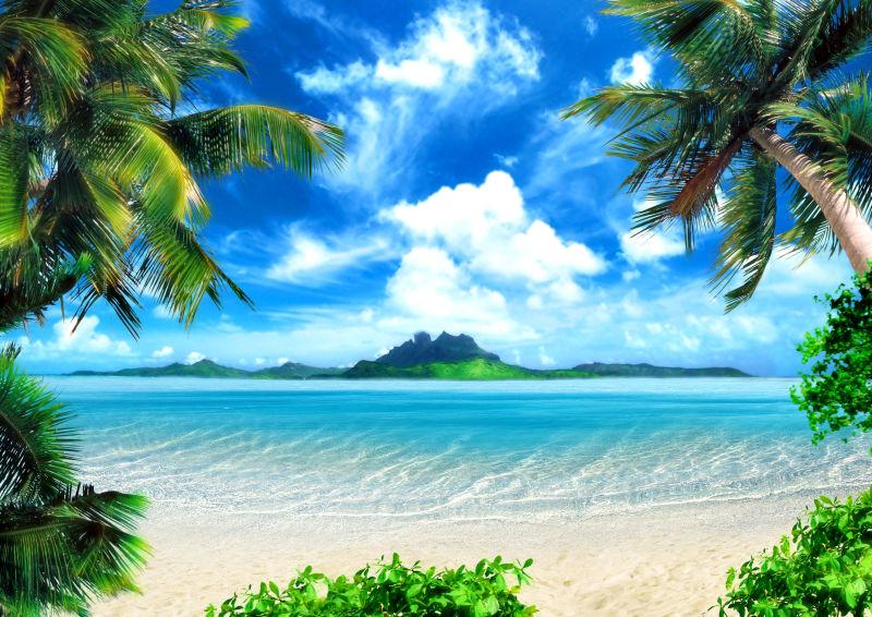 蓝天白云下热带海滩上的棕榈树和白色沙滩