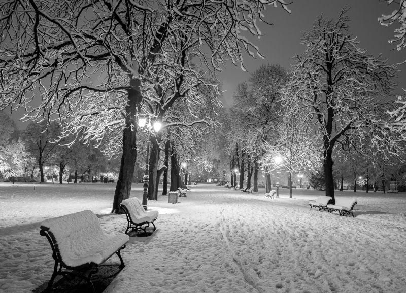 夜晚的冬季公园