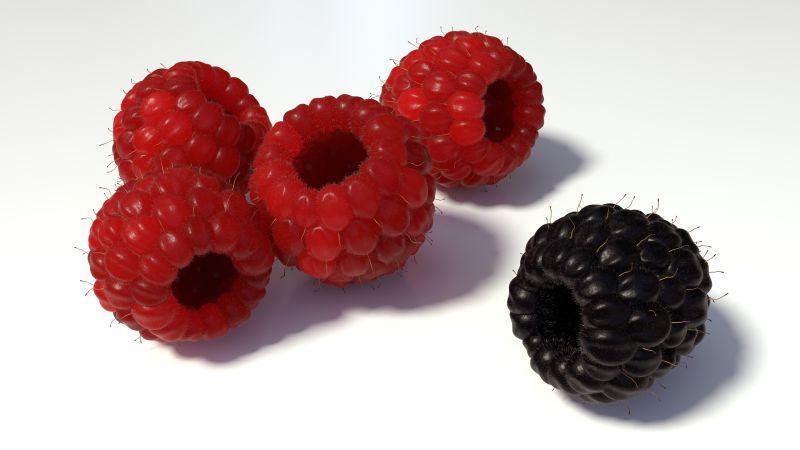 红色覆盆子和黑莓