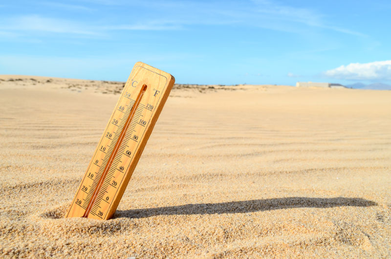 沙漠沙子里的温度计显示高温