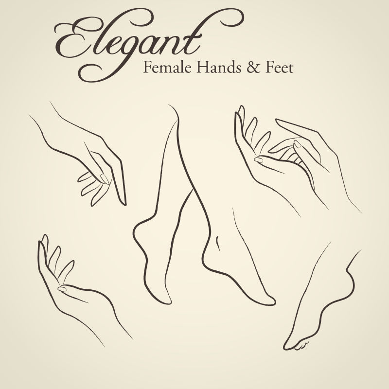 矢量手绘抽象女性手和脚的轮廓