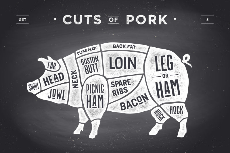 创意矢量猪肉的食用分解图