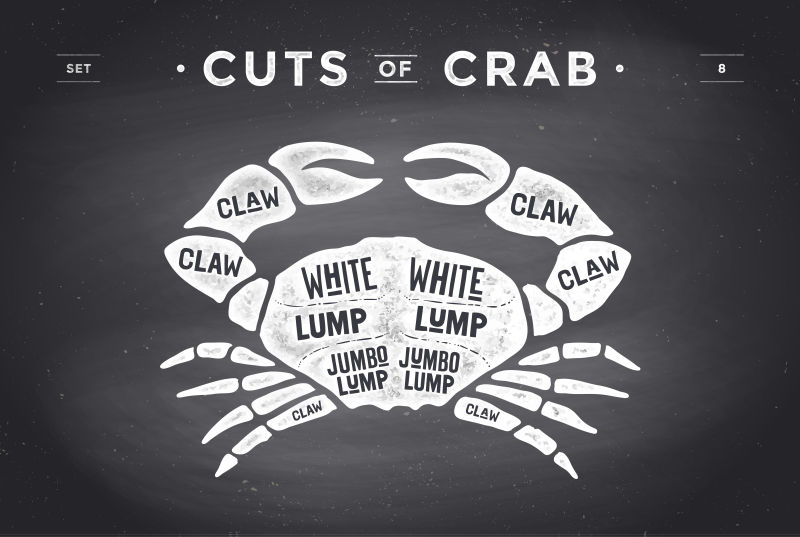 矢量螃蟹的创意食用分解图
