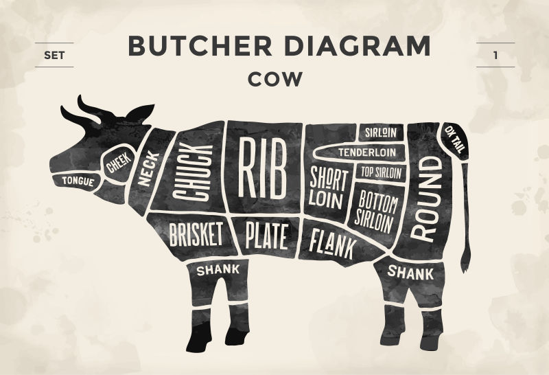 创意矢量老式牛肉食用分解图